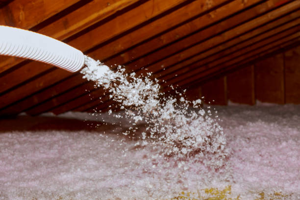 Best Specialized Insulation Services in Gardnerville Ranchos, NV