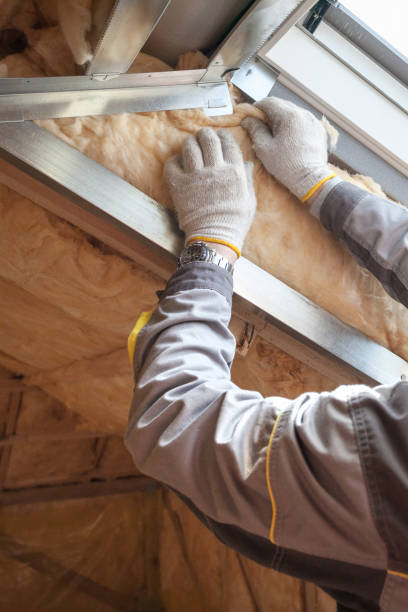 Best Fiberglass Insulation in Gardnerville Ranchos, NV