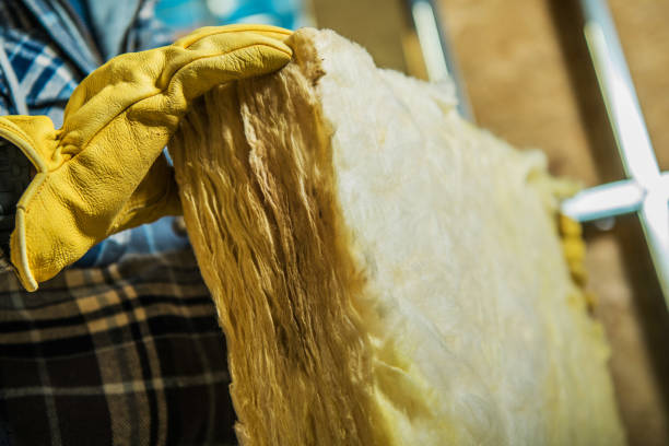 Best Insulation for Specific Applications in Gardnerville Ranchos, NV