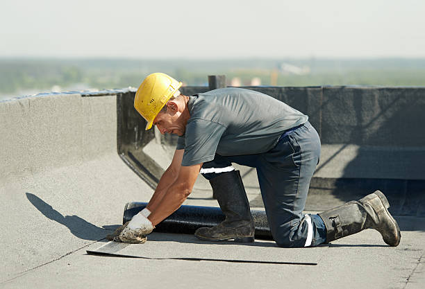 Trusted Gardnerville Ranchos, NV Insulation Contractor Experts
