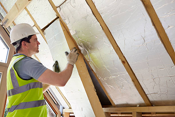 Best Eco-Friendly Insulation in Gardnerville Ranchos, NV