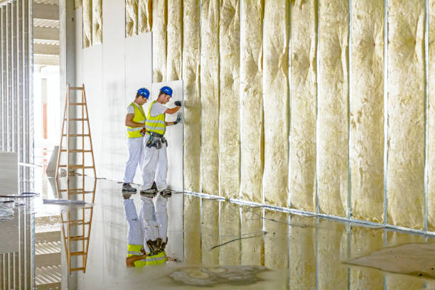Types of Insulation We Offer in Gardnerville Ranchos, NV